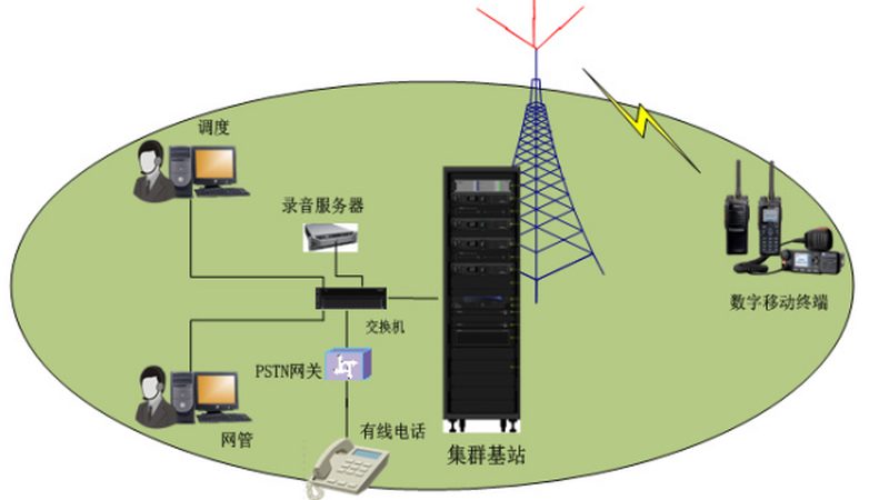 网络建设的基石：路由器与交换机的作用